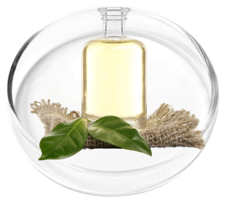Camphor Oil
